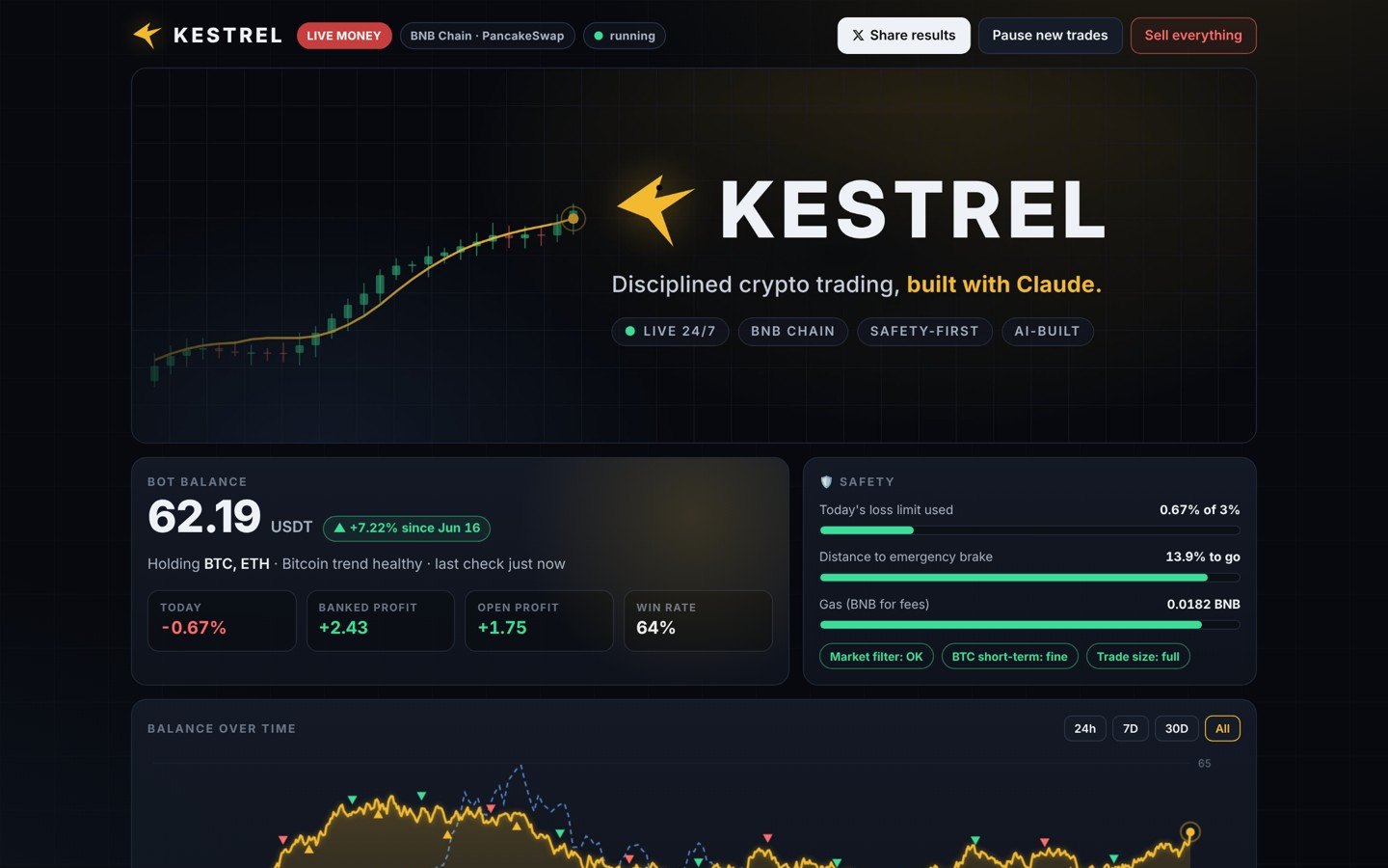 Kestrel dashboard on a desktop browser, showing balance, safety gauges and the balance-over-time chart (demo data)
